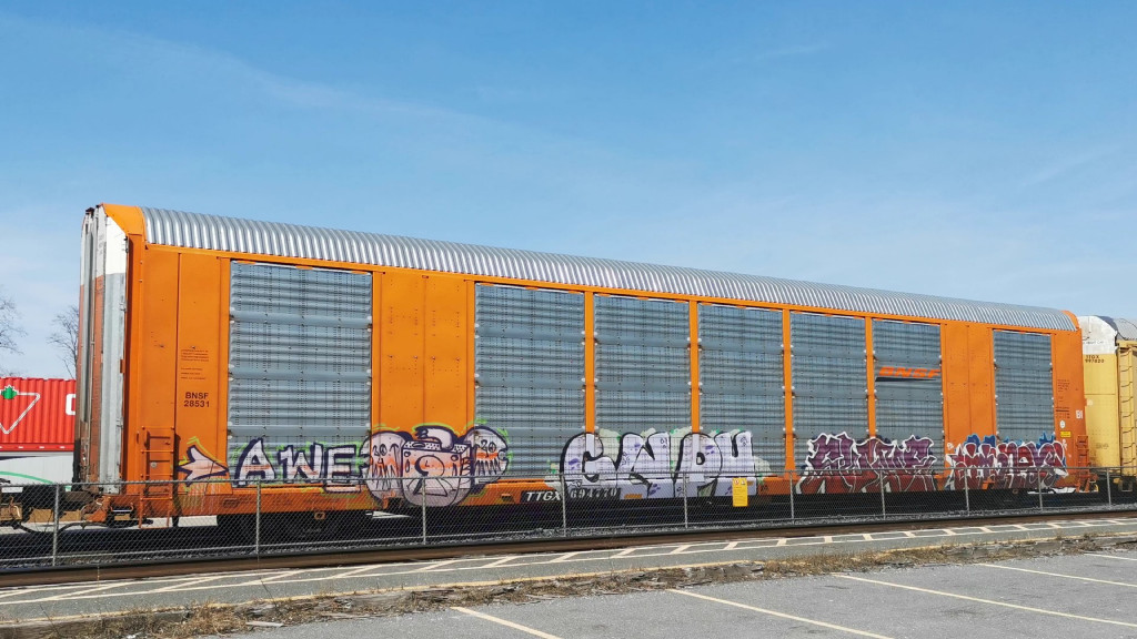 BNSF 28531 (Body) TTGX 694770 (Flat)